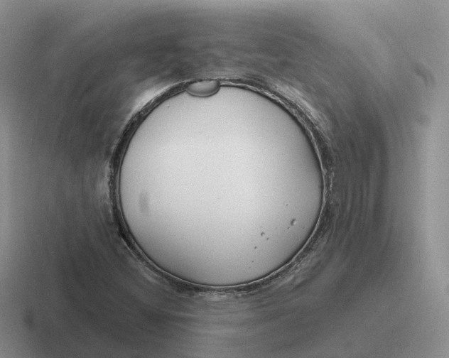 X0000116671404201001041120