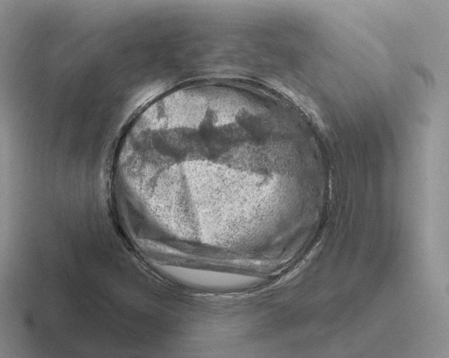 X0000116671405201001041120