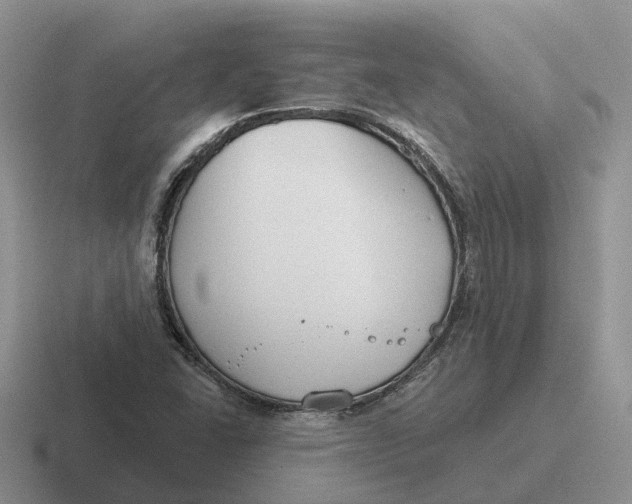 X0000116671406201001041120