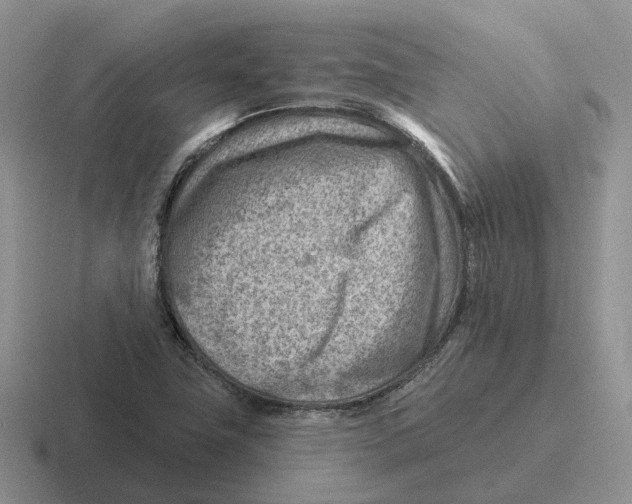 X0000116671411201001041120