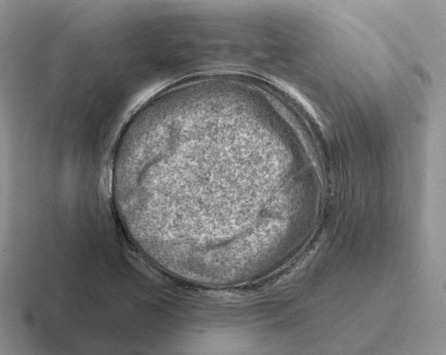 X0000116671413201001041120