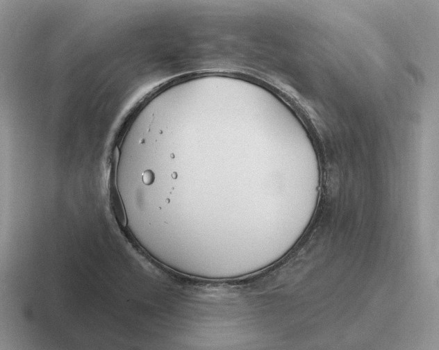 X0000116671416201001041120