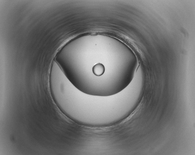 X0000116671417201001041120