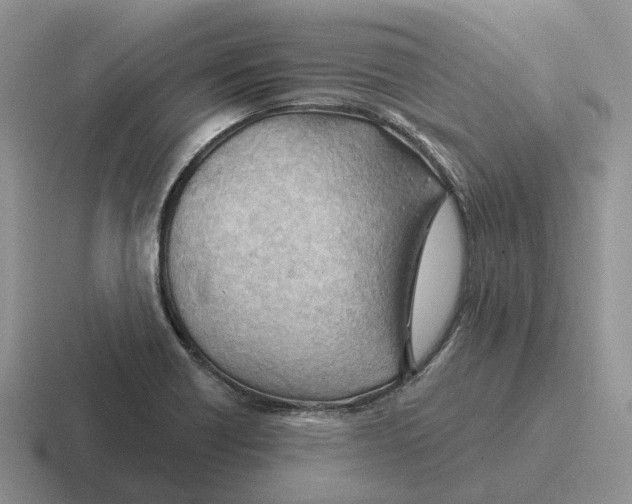 X0000116671418201001041120