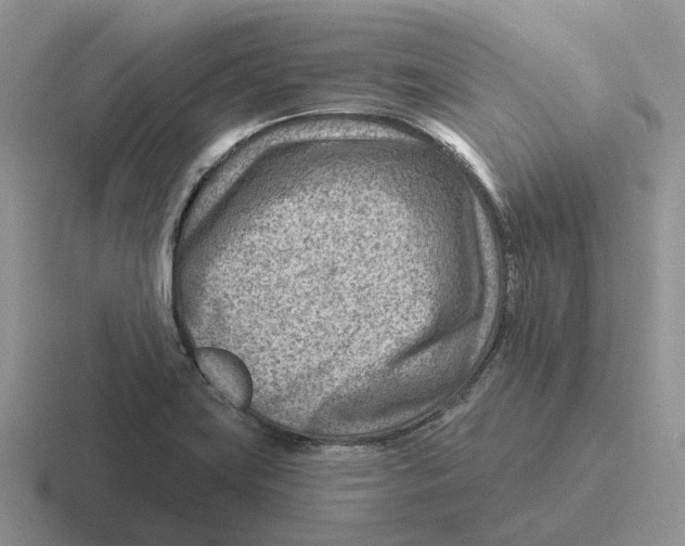 X0000116671419201001041120