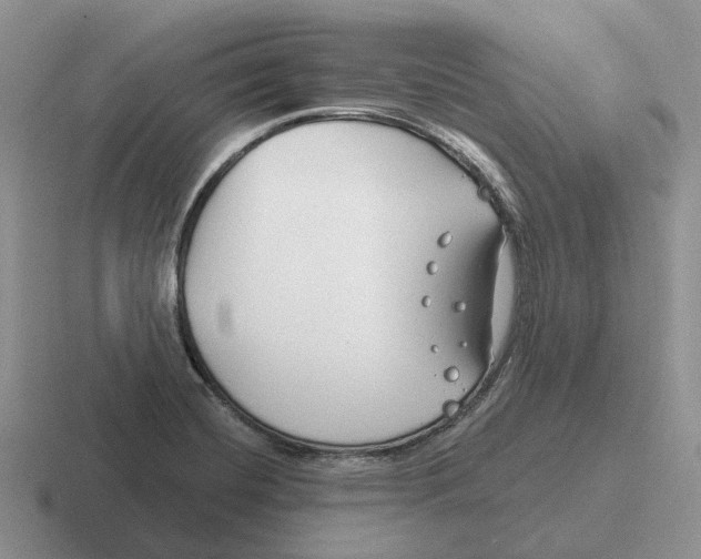 X0000116671420201001041120