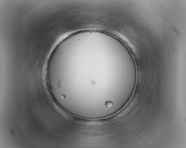 X0000116671421201001041120