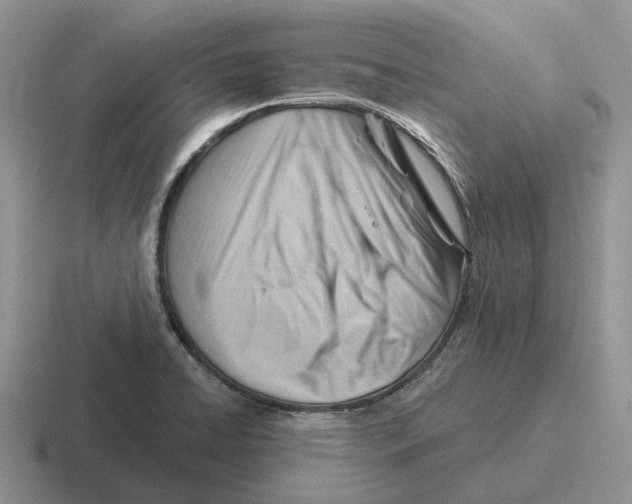 X0000116671422201001041120