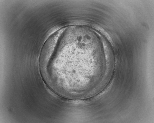 X0000116671425201001041120