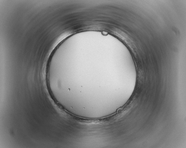 X0000116671426201001041120