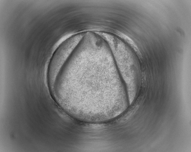 X0000116671427201001041120