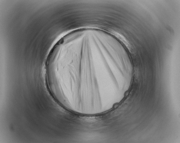 X0000116671428201001041121