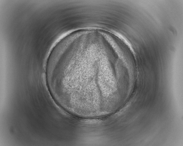 X0000116671429201001041121