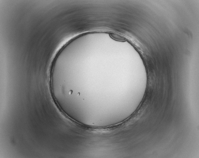 X0000116671430201001041121