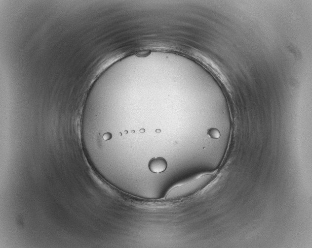 X0000116671433201001041121