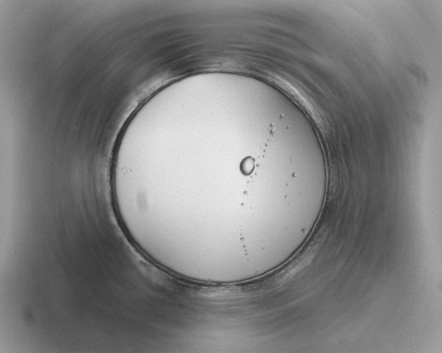 X0000116671434201001041121