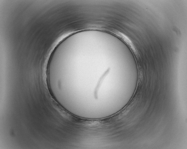 X0000116671435201001041121