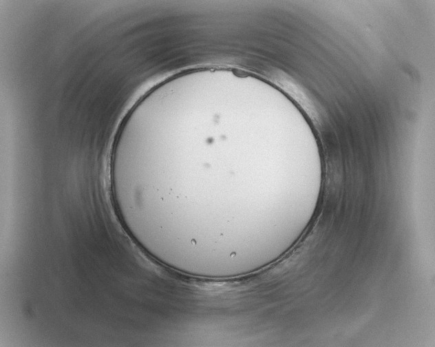 X0000116671436201001041121