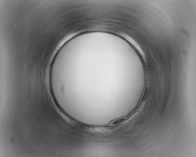 X0000116671437201001041121