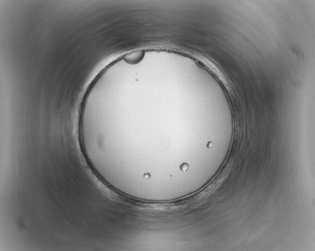 X0000116671438201001041121