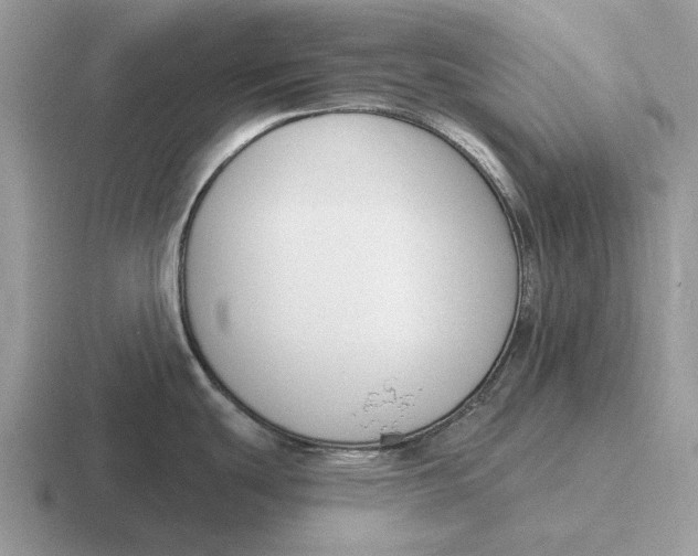 X0000116671439201001041121