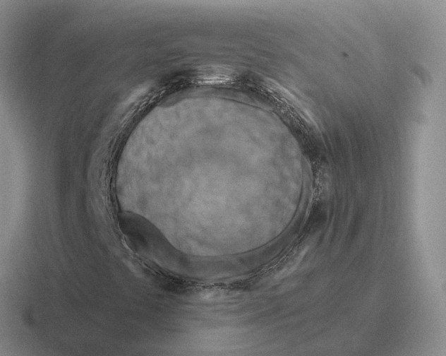 X0000116671441201001041120