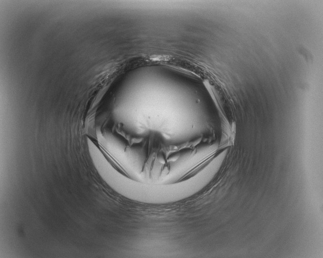 X0000116671443201001041120