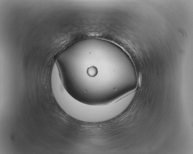 X0000116671444201001041120