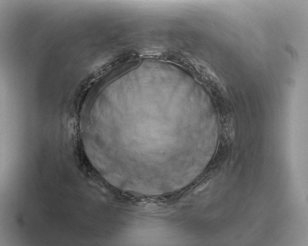 X0000116671445201001041120