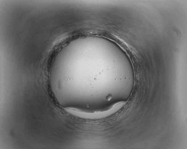 X0000116671447201001041120