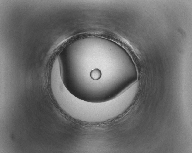 X0000116671448201001041120