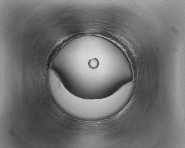 X0000116671449201001041120