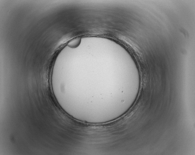 X0000116671451201001041120