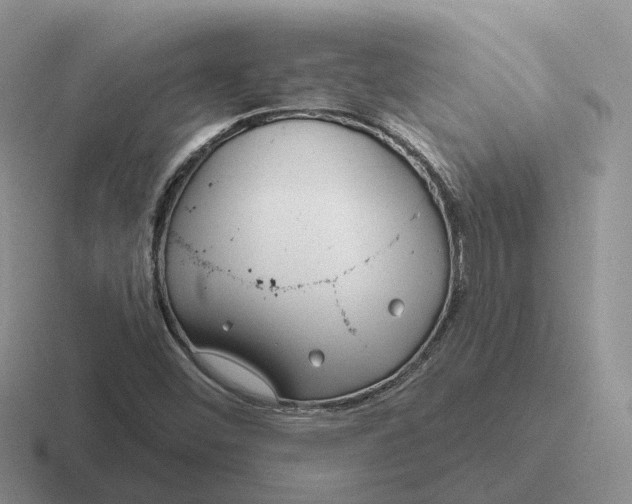 X0000116671452201001041120