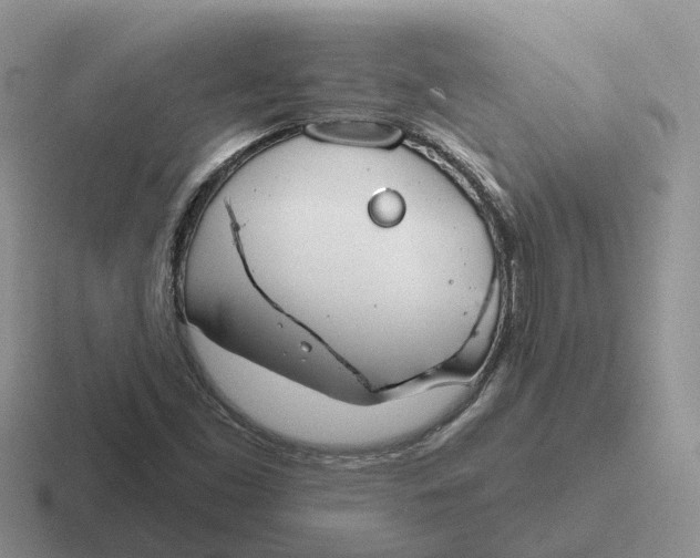 X0000116671453201001041120