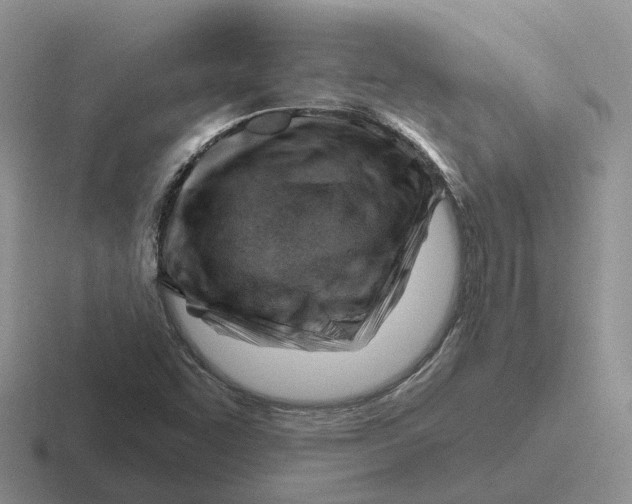 X0000116671455201001041120