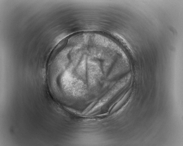 X0000116671457201001041120