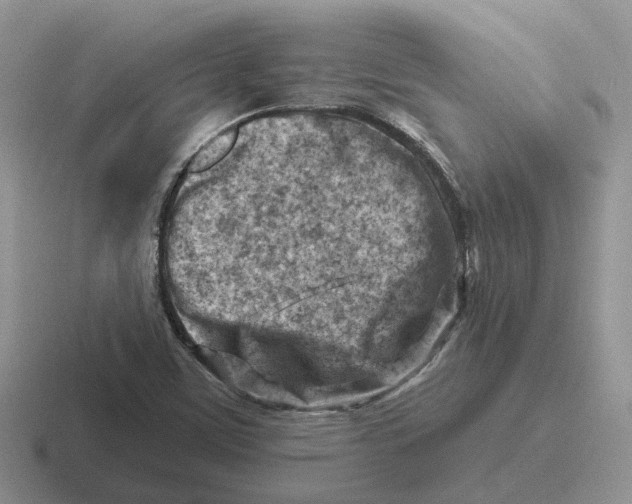 X0000116671459201001041120