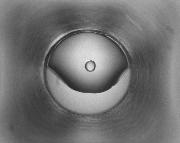 X0000116671460201001041120