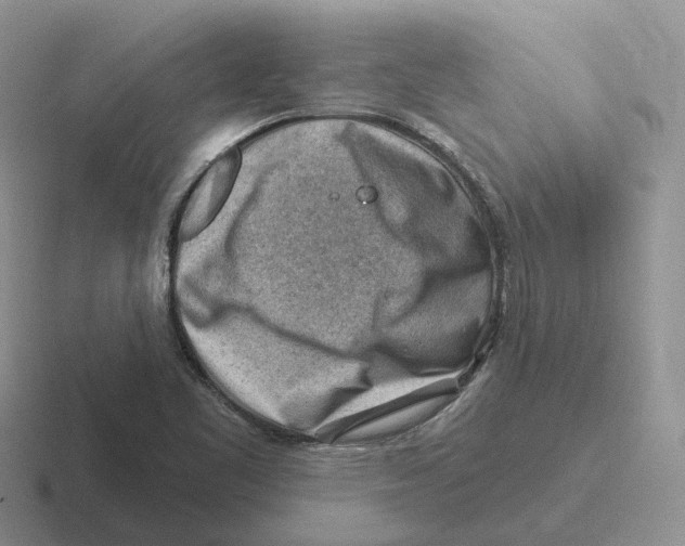 X0000116671461201001041120