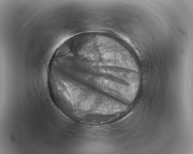 X0000116671463201001041120