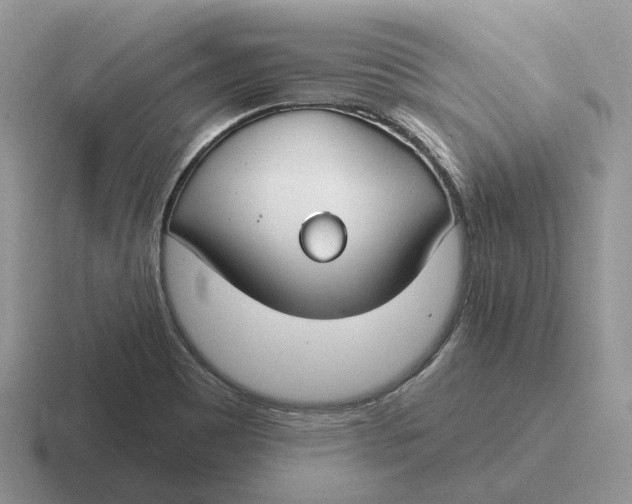 X0000116671465201001041120