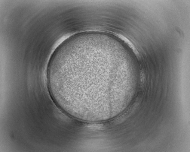 X0000116671466201001041120