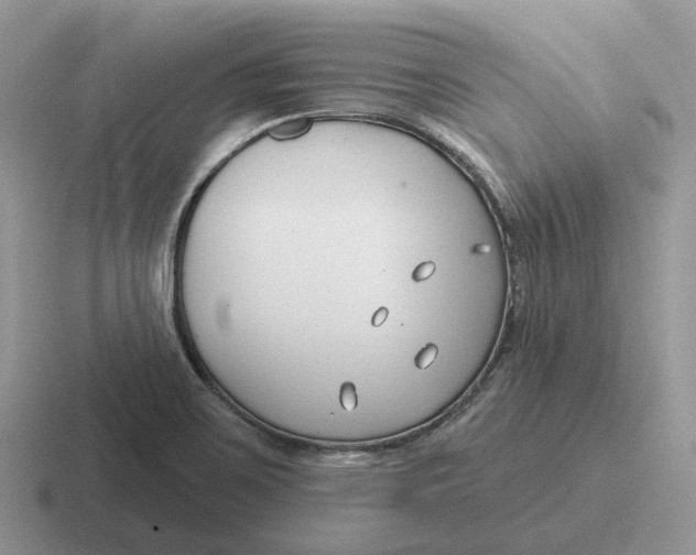 X0000116671467201001041120