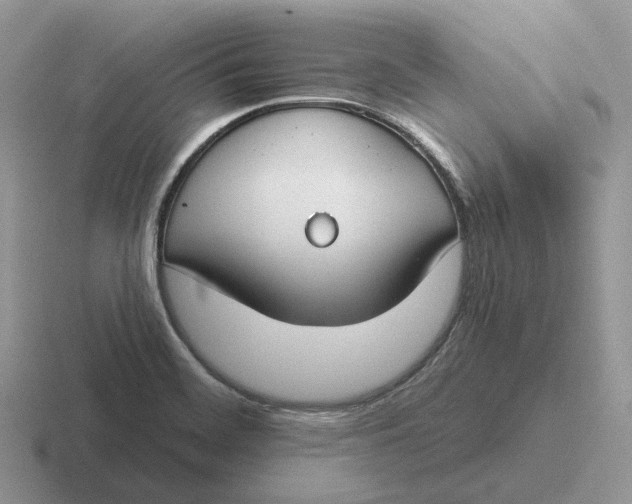 X0000116671468201001041120