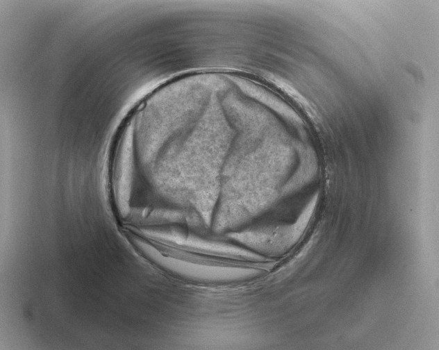 X0000116671469201001041120