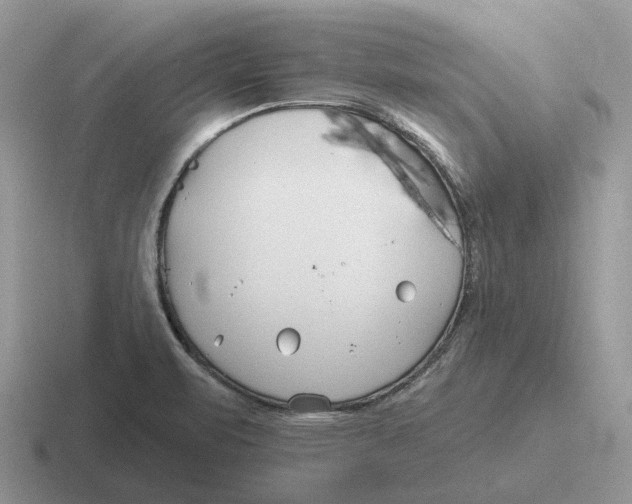 X0000116671471201001041120