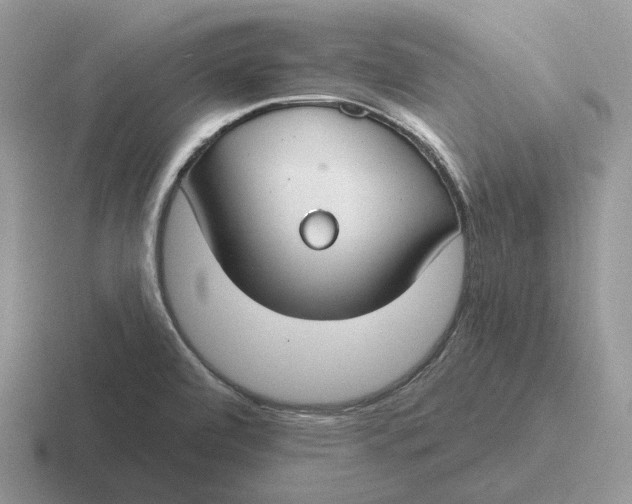 X0000116671472201001041120