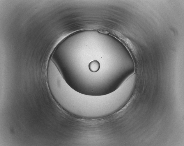 X0000116671473201001041120