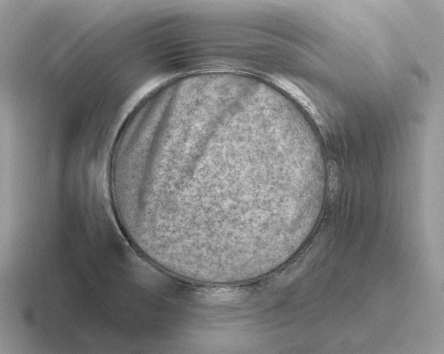 X0000116671474201001041120